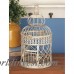 Mistana 2 Piece Decorative Metal Bird Cage Set MTNA3310